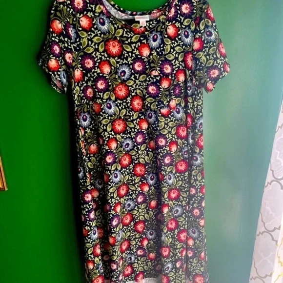 CLEARANCE! LulaRoe Carley XS‎ Dress Floral Print Excellent Condition! - Picture 1 of 3